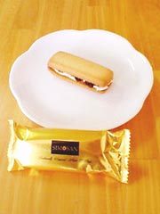 �_�˕������@�w�V���T���x