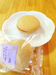 Plecia�@�w�N�b�L�[�T���h �������[�Y���x