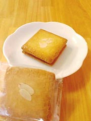 Angelique Chiba�@�w�T�u���E�r�j�����x