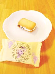 ���B���Y�@�w�������[�Y���T���h�N�b�L�[�x