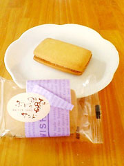 �ʎq�T�G�@�w�Ԃǂ��T���h�x