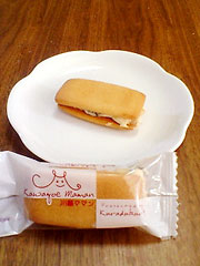 ����Â���{�܁@�w��z�}�}���x