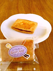 ���X�g�����m�َq�X�@�w���[�Y���T���h�x