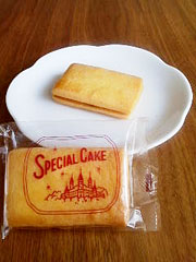 �P�[�L��a�@�w���[�Y���T���h�x